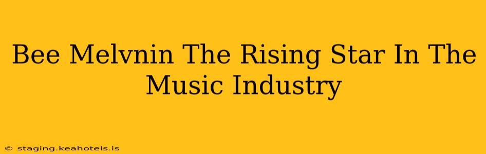 Bee Melvnin The Rising Star In The Music Industry