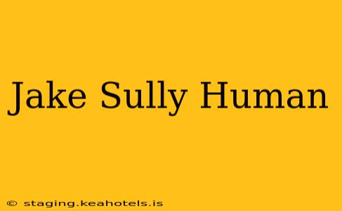Jake Sully Human