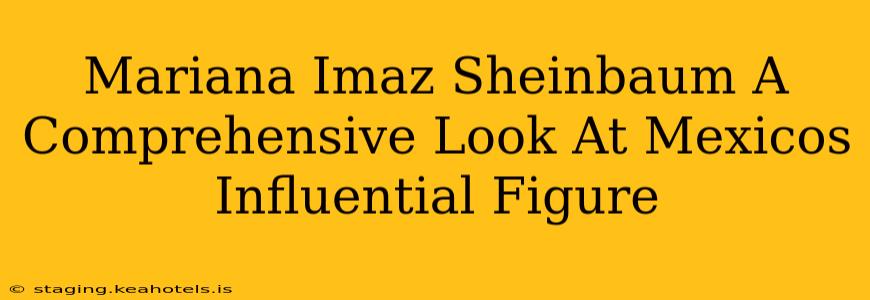 Mariana Imaz Sheinbaum A Comprehensive Look At Mexicos Influential Figure
