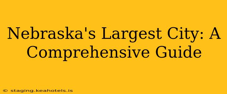 Nebraska's Largest City: A Comprehensive Guide
