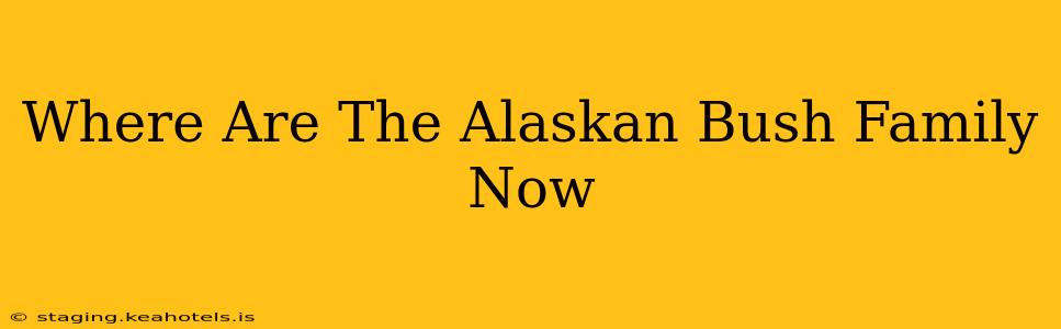 Where Are The Alaskan Bush Family Now