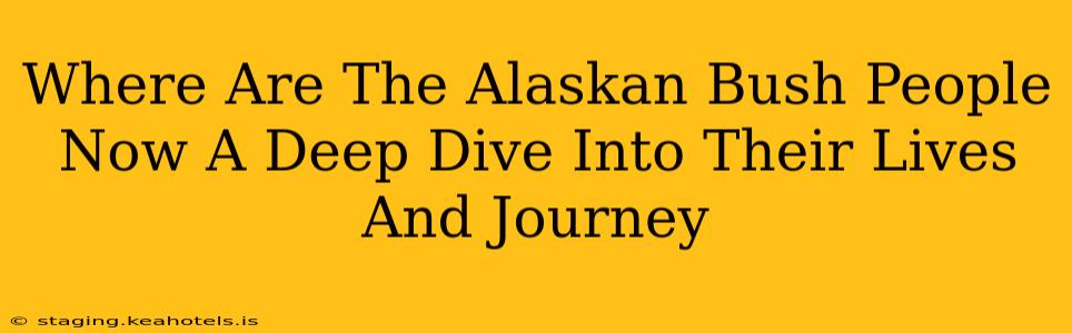 Where Are The Alaskan Bush People Now A Deep Dive Into Their Lives And Journey