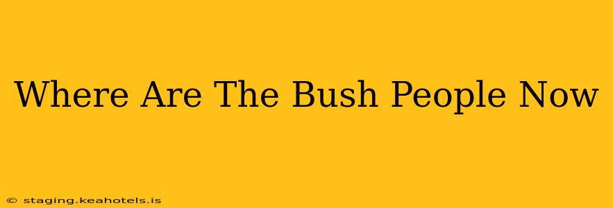 Where Are The Bush People Now